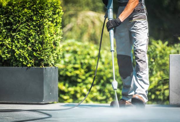 Best Dumpster Area Cleaning  in Waelder, TX