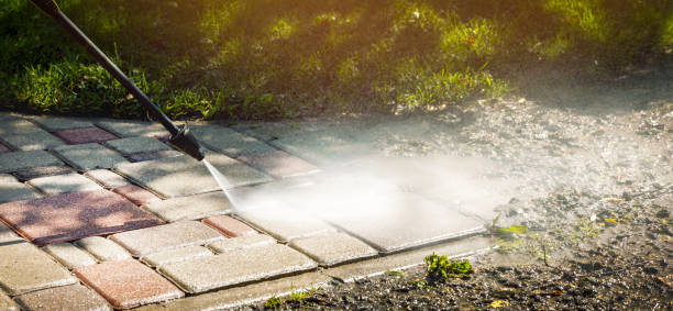 Best Solar Panel Cleaning  in Waelder, TX